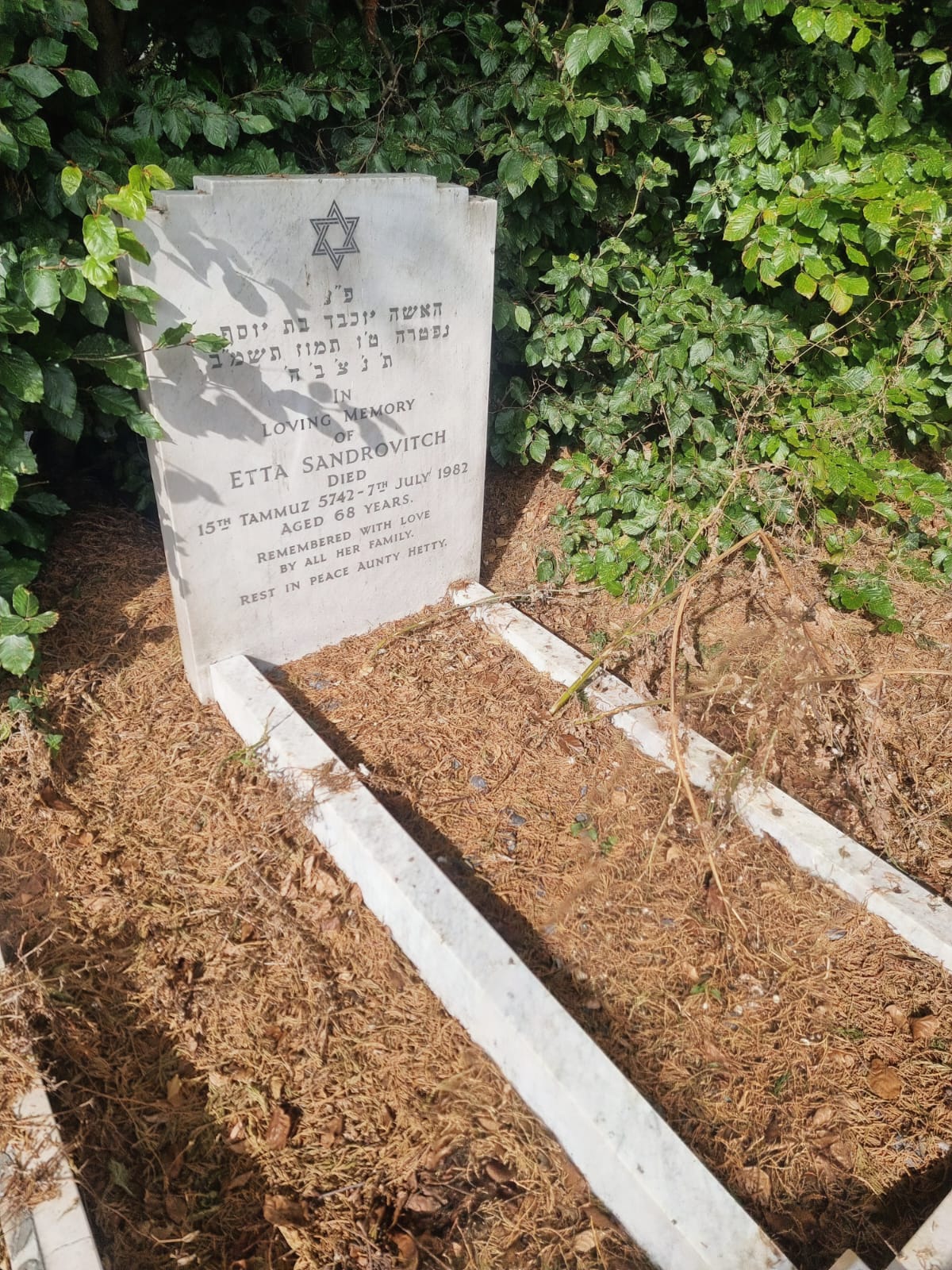 Before cleaning - aged heritage headstone
